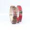 Newly invented product PU dog collar pet supplies