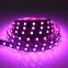 Super endurance led digital 60ed/m black pcb indoor led strip light