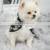 Customized Korea Fashion Luxury Apparel Designer 2021 Summer Dogs Clothes Wholesale