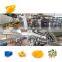 Automatic dry/dried/drying fruit plant machine processing line manufacturer
