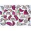 Tropical & Sub-Tropical Fruit Natural Taste AD Dried Fruit Sliced Original Flavor Dried Dragon Fruit