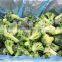 Frozen Broccoli IQF Broccoli Frozen Green Broccoli 3-5 CM