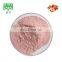 Super food strawberry fruit juice extract powder