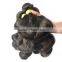 100% Human Virgin Hair, Indian Loose Wave Weft , no chemical processed , wholesale price