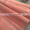 Grade A/B 0.28mm natural wood plb face veneer