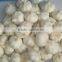 super white pure white garlic 5.0cm in carton