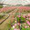 pvc hose for irrigation