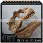 Amusement Park Products Dinosaur Skeleton Model