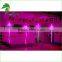 Party Decorating PVC Helium Inflatable Jellyfish Light Balloon / Inflatable Lighting From Hongyi Toys