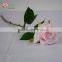 beautiful rose with designs fabric painting and flower vase jasmine color