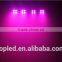 Footswitch control dmx led lights 92W RGBW LED Par system