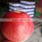Sale Apple Fruits to Russia Sweet Qinguan Apples Fruits Containing Vitamin E