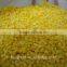 Frozen Dried FD Dried Fruit Dried Yellow Peache Dices