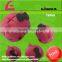 Mickey high quality breathable sponge ball roll (high rebound)
