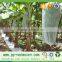 Banana bag nonwoven fabric raw material fabric for banana protection