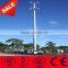 35M China Best Style Octagonal Artificial Palm Tree Steel Tower