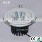 Dimmable 35W COB ceiling downlight,replace Philips metal halide lamp,pure white
