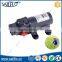 Sailflo 12V 80PSI 1.1LPM agricultural water pump electric water pump motor battery powered fine mist spray pump