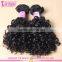 Shandong Factory Mongolian Curly Hair Extension Hair With Rubber Band