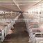Pig penning of gestation house