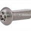 Torx Head Screw
