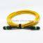 High quality SM MTP 12 cores patch cord from factory