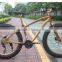 Folding E Fat Bike