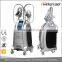 Cellulite Reduction CE Approved Weight Loss Machine Cool Sculpting Cryolipolysis Antifreeze Membrane For Cryolipolysis Skin Tightening
