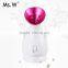 Hot selling electric portable beauty facial steamer