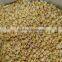 New crop iqf frozen yellow corn sweet corn kernels