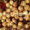 china fresh onion for wholesales