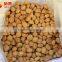 IQF Chestnuts Frozen Chestnut Kernel for sale