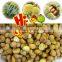 Natural soft and sweet frozen roasted chestnuts