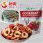 Organic hawthorn berry fruit chips, freeze dried fruit chips