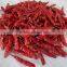 Premium Quality Indian Dry Red Chilli Exporters