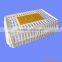 BC High Quality AA reinforced circulating chicken cage