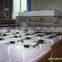 Cheap and Fine Egg Incubator 48 Eggs Whit CE