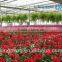 Vegetable Growing Greenhouse