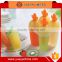 lovely carrot ice lolly Popsicle DIY mould YH5867