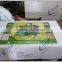Vigoro Dumping Garden Cart, Yard Wagon, Pull wagon