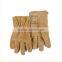 Hot sell safety cut resistance long working gloves product from sharps