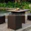 Rattan Furniture Wooden Dining Table Set