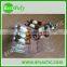 Custom high quality plastic blister tray for medication/drug