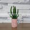 Plastic succulent plants producer and factory