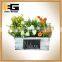 The Rectangular Offwhite Ear Wood Flowerpot