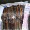 vietnam dried sea cucumber illex squid