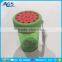 Reliable quality beautiful Watermelon Fruit water bottle
