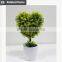 wholesale artificial potted plant for succulent