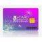 SLE5542 Card