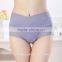 Skin High Bamboo Fiber Period Briefs Panties/zdm Breathable 10 Color Period Panties Underwear